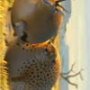 davidbooher5